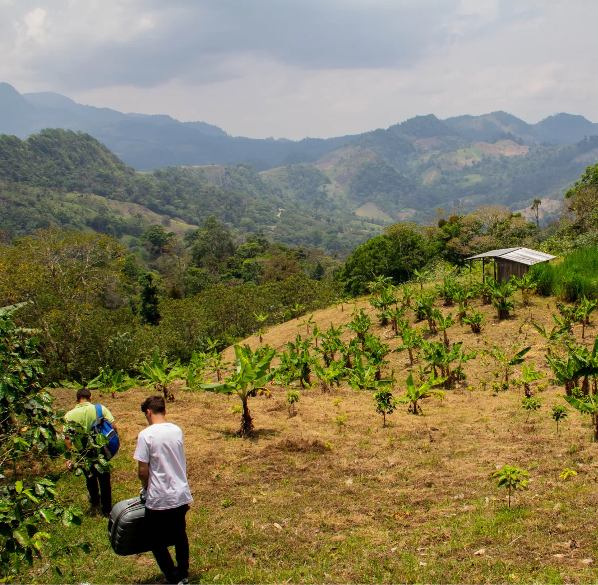 Climate Edge team visiting remote farms in Honduras