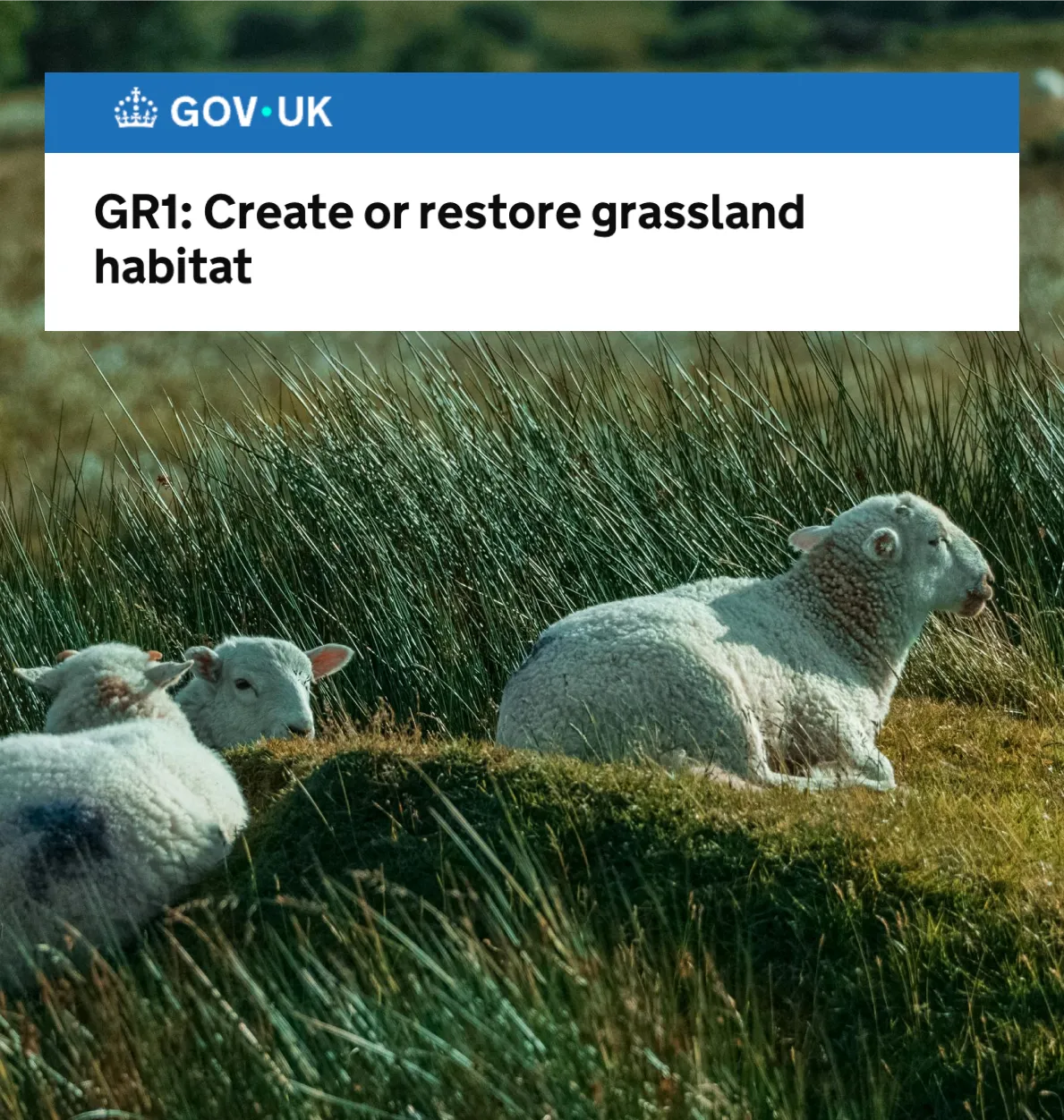 Making grant funding accessible to farmers at scale, without the admin bottleneck for Soil Association feature image 2