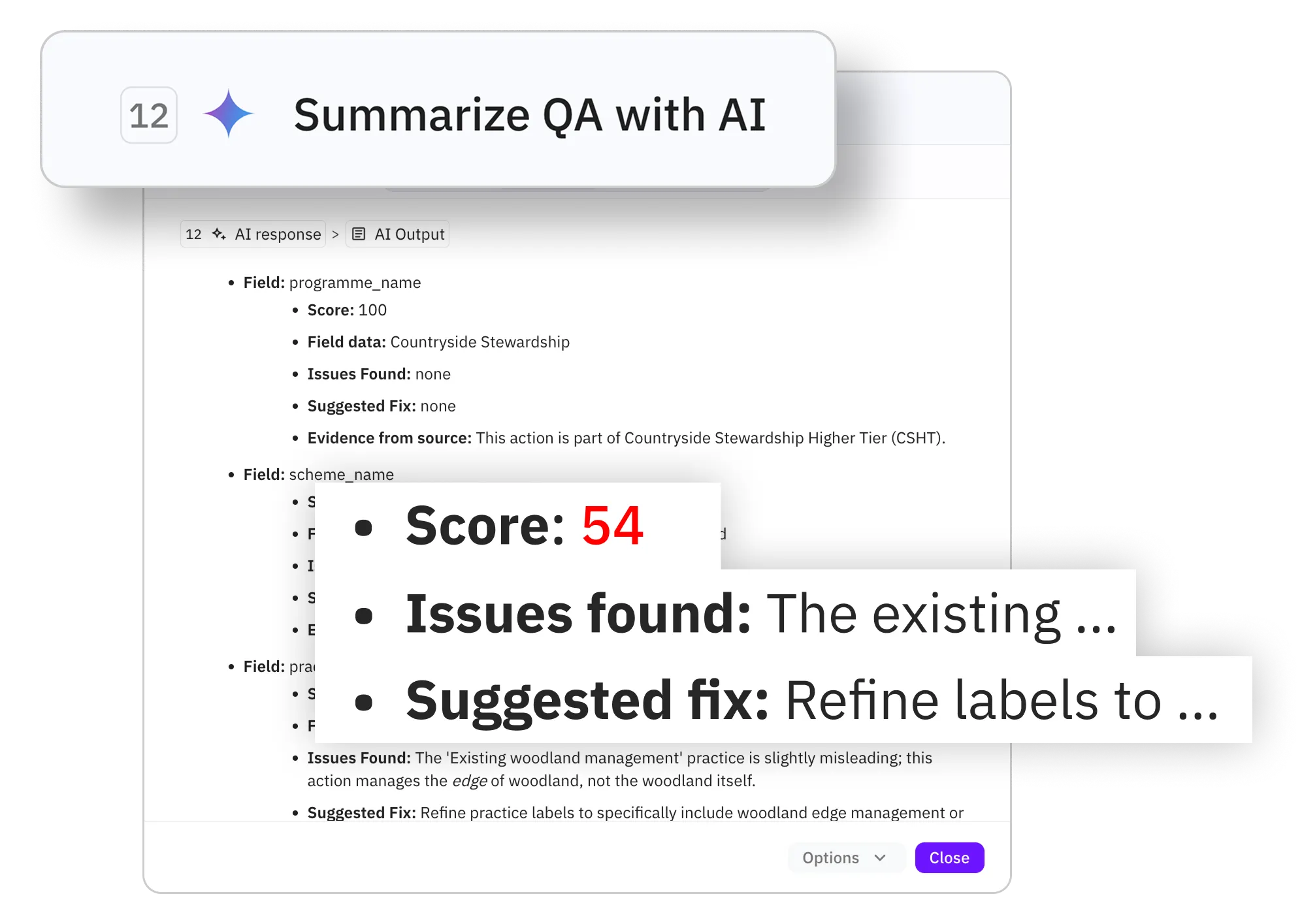 QA process diagram showing confidence scoring and human review trigger